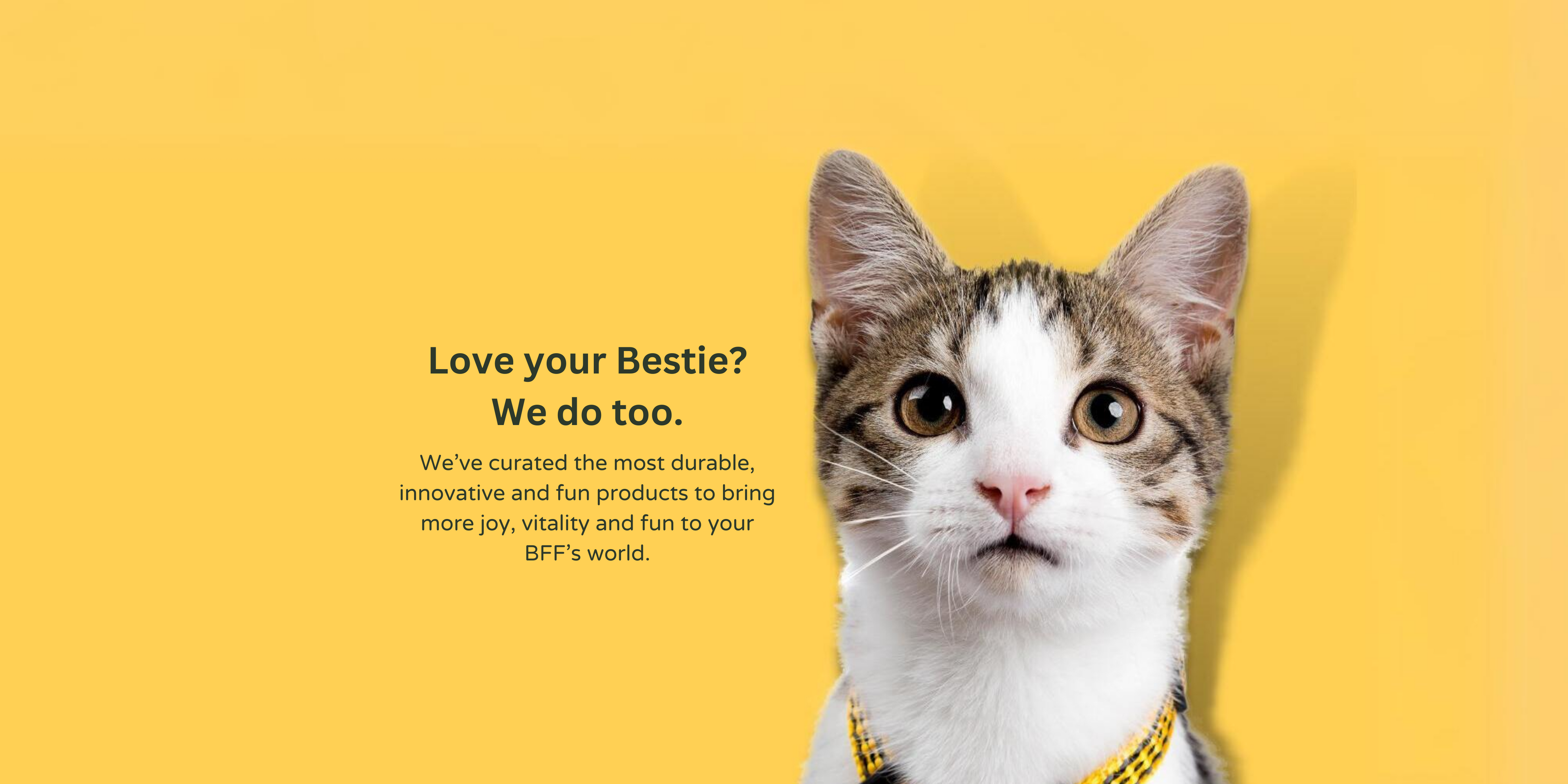 pet accessories and pet supplies