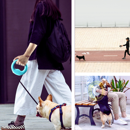 SecureLeash: Retractable Lead or Leash