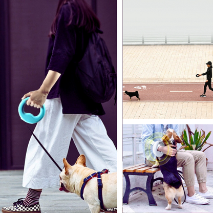 SecureLeash: Rechargeable & Retractable Leash With Safety Light