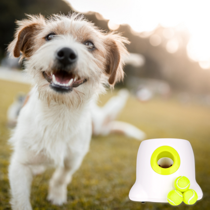 BallerPro Automatic Ball Thrower For Your Furry BFF