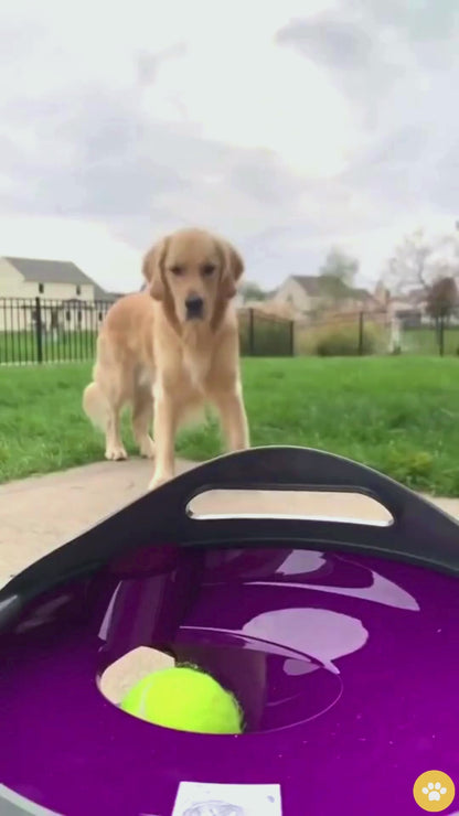 BallerPro Automatic Ball Thrower For Your Furry BFF